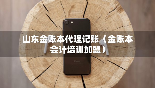 山東金賬本代理記賬（金賬本會(huì)計(jì)培訓(xùn)加盟）