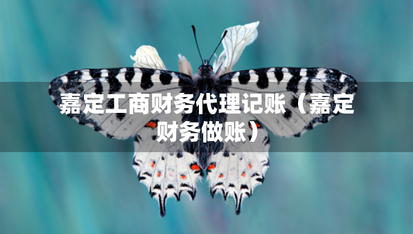 嘉定工商財務(wù)代理記賬（嘉定財務(wù)做賬）