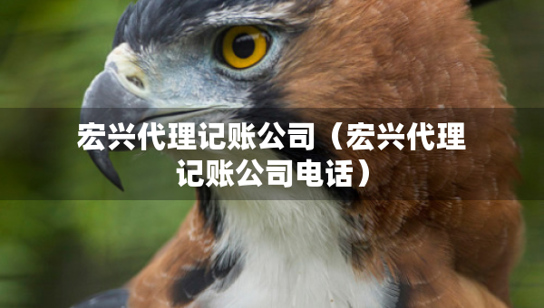 宏興代理記賬公司（宏興代理記賬公司電話）