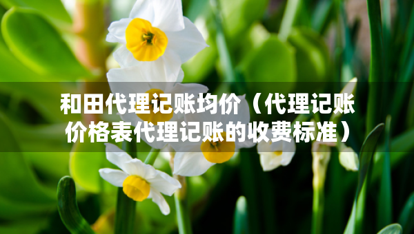 和田代理記賬均價(jià)（代理記賬價(jià)格表代理記賬的收費(fèi)標(biāo)準(zhǔn)）