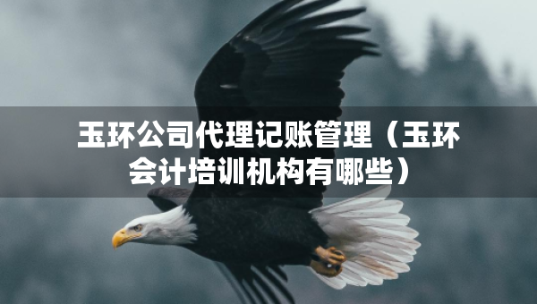玉環(huán)公司代理記賬管理（玉環(huán)會(huì)計(jì)培訓(xùn)機(jī)構(gòu)有哪些）