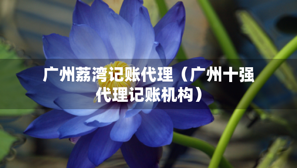 廣州荔灣記賬代理（廣州十強代理記賬機構）