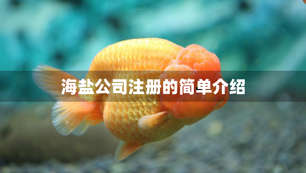 海鹽公司注冊(cè)的簡(jiǎn)單介紹