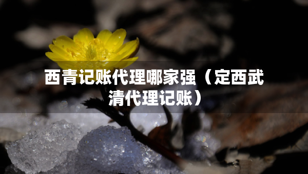 西青記賬代理哪家強(qiáng)（定西武清代理記賬）