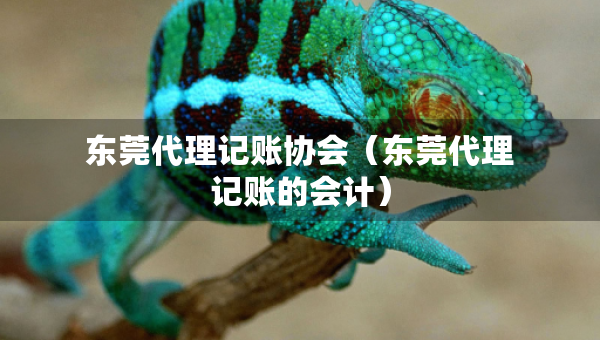 東莞代理記賬協(xié)會（東莞代理記賬的會計）