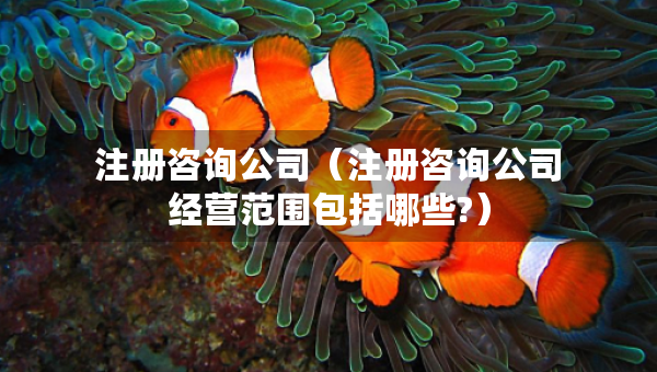 注冊(cè)咨詢公司（注冊(cè)咨詢公司經(jīng)營范圍包括哪些?）