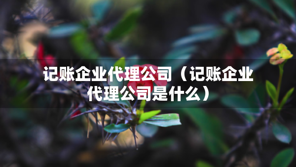 記賬企業(yè)代理公司（記賬企業(yè)代理公司是什么）