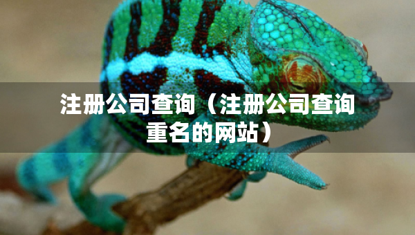 注冊(cè)公司查詢（注冊(cè)公司查詢重名的網(wǎng)站）
