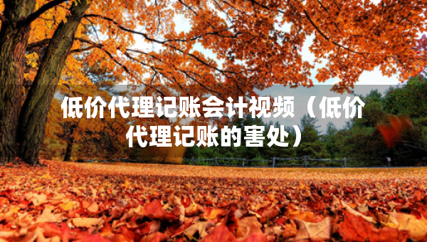 低價代理記賬會計視頻（低價代理記賬的害處）
