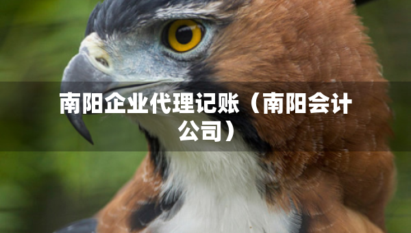 南陽企業(yè)代理記賬（南陽會(huì)計(jì)公司）