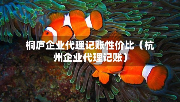 桐廬企業(yè)代理記賬性價比（杭州企業(yè)代理記賬）