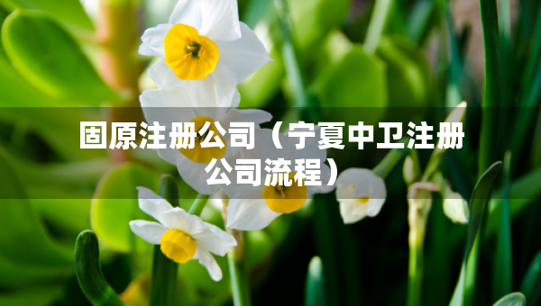 固原注冊公司（寧夏中衛(wèi)注冊公司流程）