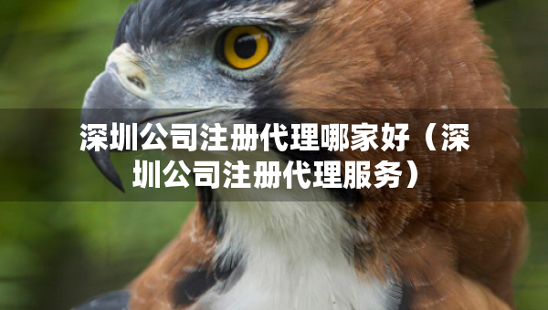 深圳公司注冊代理哪家好（深圳公司注冊代理服務(wù)）