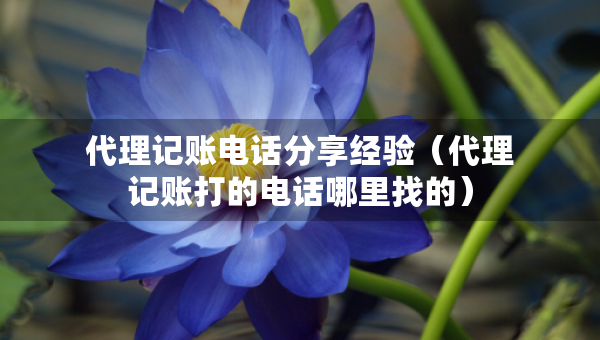 代理記賬電話分享經(jīng)驗(yàn)（代理記賬打的電話哪里找的）