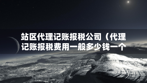 站區(qū)代理記賬報稅公司（代理記賬報稅費用一般多少錢一個月）