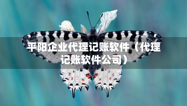平陽企業(yè)代理記賬軟件（代理記賬軟件公司）