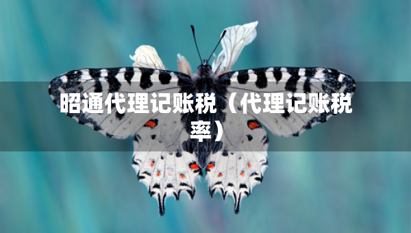 昭通代理記賬稅(代理記賬稅率) 昭通代理記賬稅(代理記賬稅率)
