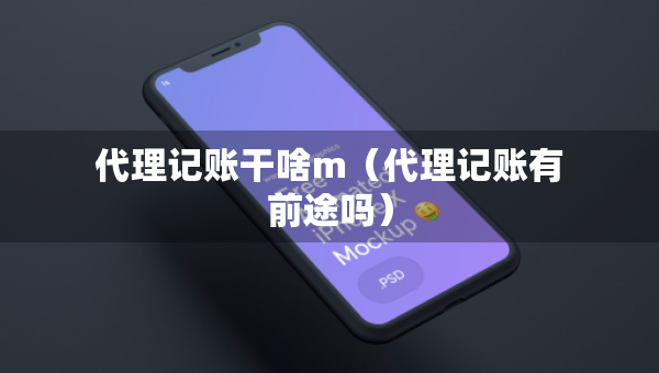 代理記賬干啥m（代理記賬有前途嗎）