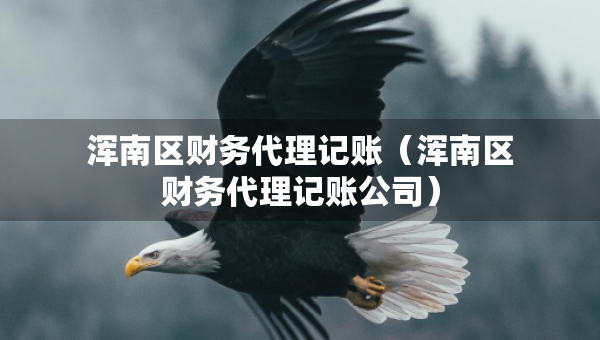 渾南區(qū)財務代理記賬（渾南區(qū)財務代理記賬公司）