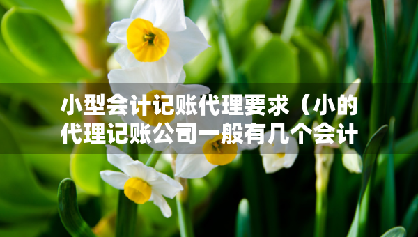 小型會(huì)計(jì)記賬代理要求(小的代理記賬公司一般有幾個(gè)會(huì)計(jì)) 小型會(huì)計(jì)記賬代理要求(小的代理記賬公司一般有幾個(gè)會(huì)計(jì))
