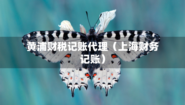 黃浦財(cái)稅記賬代理（上海財(cái)務(wù)記賬）