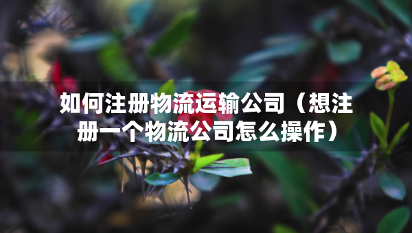 如何注冊物流運輸公司（想注冊一個物流公司怎么操作）