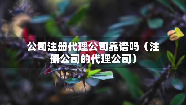 公司注冊(cè)代理公司靠譜嗎（注冊(cè)公司的代理公司）