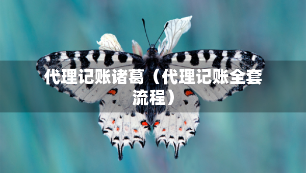 代理記賬諸葛(代理記賬全套流程) 代理記賬諸葛(代理記賬全套流程)