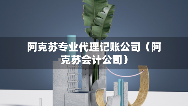 阿克蘇專業(yè)代理記賬公司（阿克蘇會計公司）