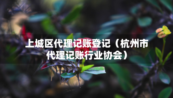 上城區(qū)代理記賬登記（杭州市代理記賬行業(yè)協(xié)會(huì)）