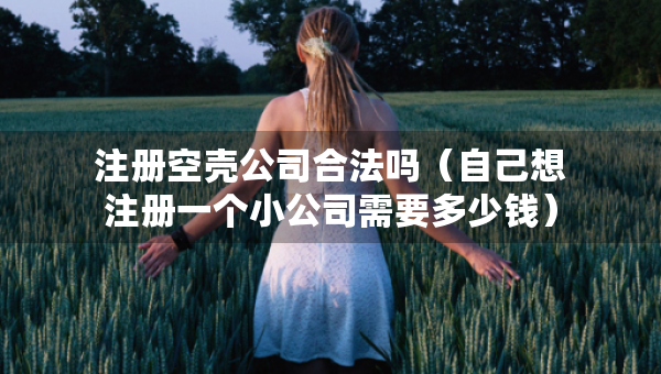 注冊空殼公司合法嗎（自己想注冊一個小公司需要多少錢）