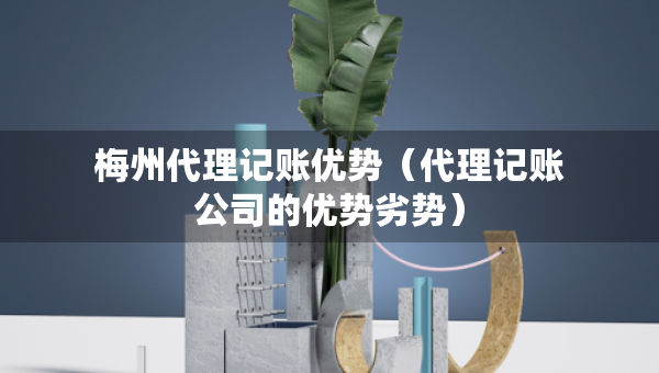 梅州代理記賬優(yōu)勢（代理記賬公司的優(yōu)勢劣勢）