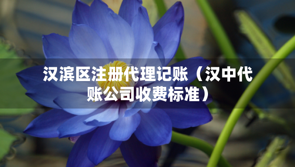 漢濱區(qū)注冊(cè)代理記賬（漢中代賬公司收費(fèi)標(biāo)準(zhǔn)）