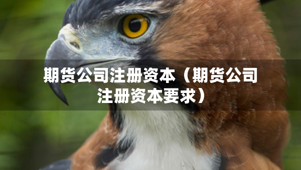 期貨公司注冊資本（期貨公司注冊資本要求）