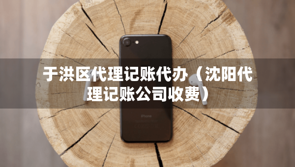于洪區(qū)代理記賬代辦（沈陽代理記賬公司收費(fèi)）