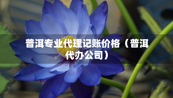 普洱專(zhuān)業(yè)代理記賬價(jià)格（普洱代辦公司）
