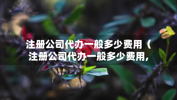 注冊公司代辦一般多少費(fèi)用（注冊公司代辦一般多少費(fèi)用,北京大興）