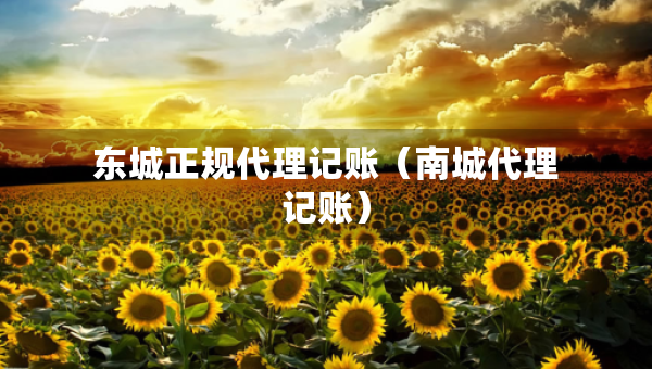 東城正規(guī)代理記賬（南城代理記賬）