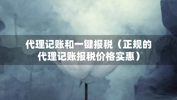 代理記賬和一鍵報(bào)稅（正規(guī)的代理記賬報(bào)稅價(jià)格實(shí)惠）
