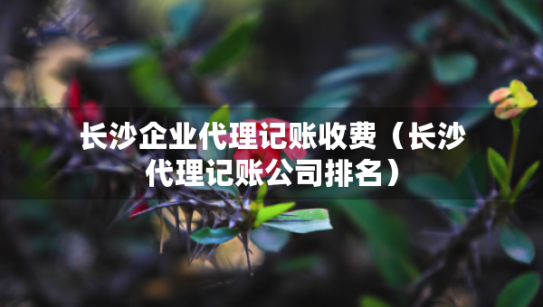 長(zhǎng)沙企業(yè)代理記賬收費(fèi)（長(zhǎng)沙代理記賬公司排名）