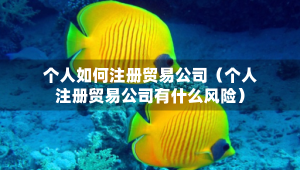個(gè)人如何注冊貿(mào)易公司（個(gè)人注冊貿(mào)易公司有什么風(fēng)險(xiǎn)）