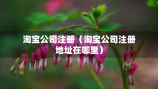 淘寶公司注冊（淘寶公司注冊地址在哪里）