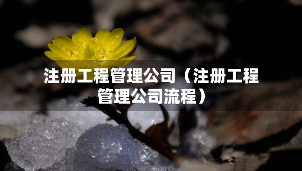 注冊工程管理公司（注冊工程管理公司流程）
