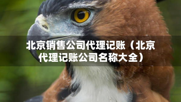 北京銷(xiāo)售公司代理記賬（北京代理記賬公司名稱(chēng)大全）