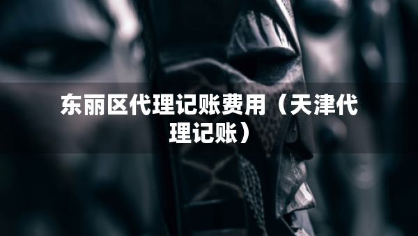 東麗區(qū)代理記賬費(fèi)用（天津代理記賬）