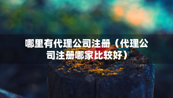 哪里有代理公司注冊(cè)（代理公司注冊(cè)哪家比較好）