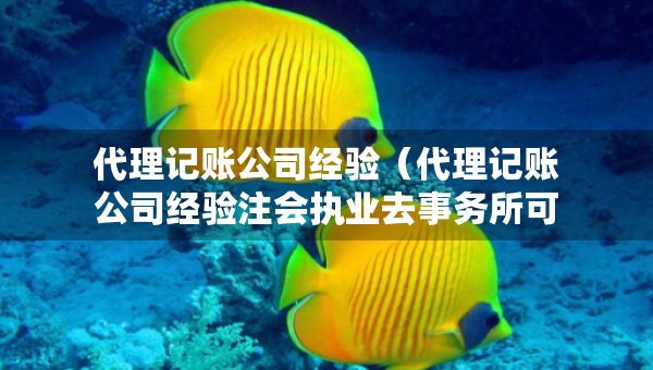 代理記賬公司經(jīng)驗(yàn)（代理記賬公司經(jīng)驗(yàn)注會執(zhí)業(yè)去事務(wù)所可以嗎）