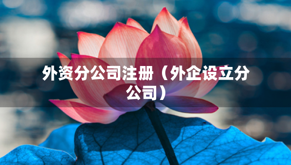 外資分公司注冊（外企設立分公司）