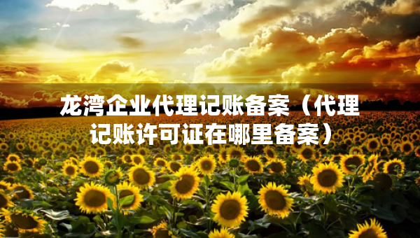 龍灣企業(yè)代理記賬備案（代理記賬許可證在哪里備案）