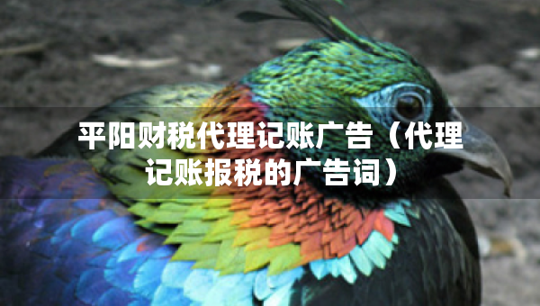 平陽(yáng)財(cái)稅代理記賬廣告（代理記賬報(bào)稅的廣告詞）